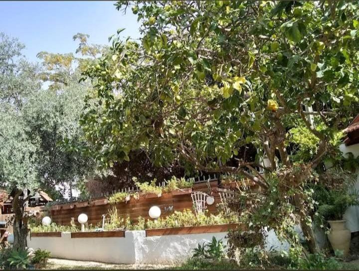 Czarina Cabin הבקתה הקיסרית והדירה הקיסרית Czarina Apartment Caesarea Exteriör bild